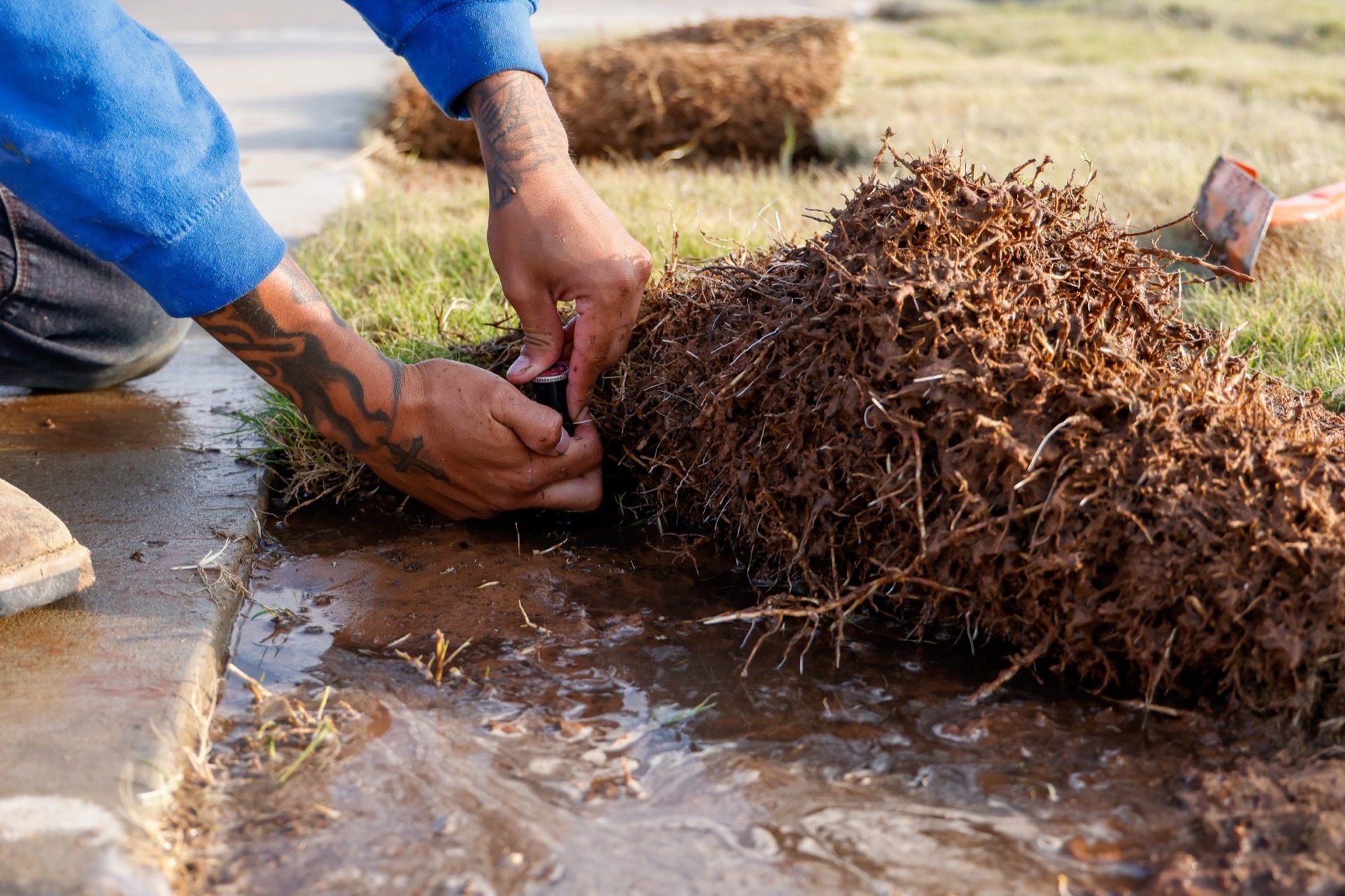 Sprinkler Repair work