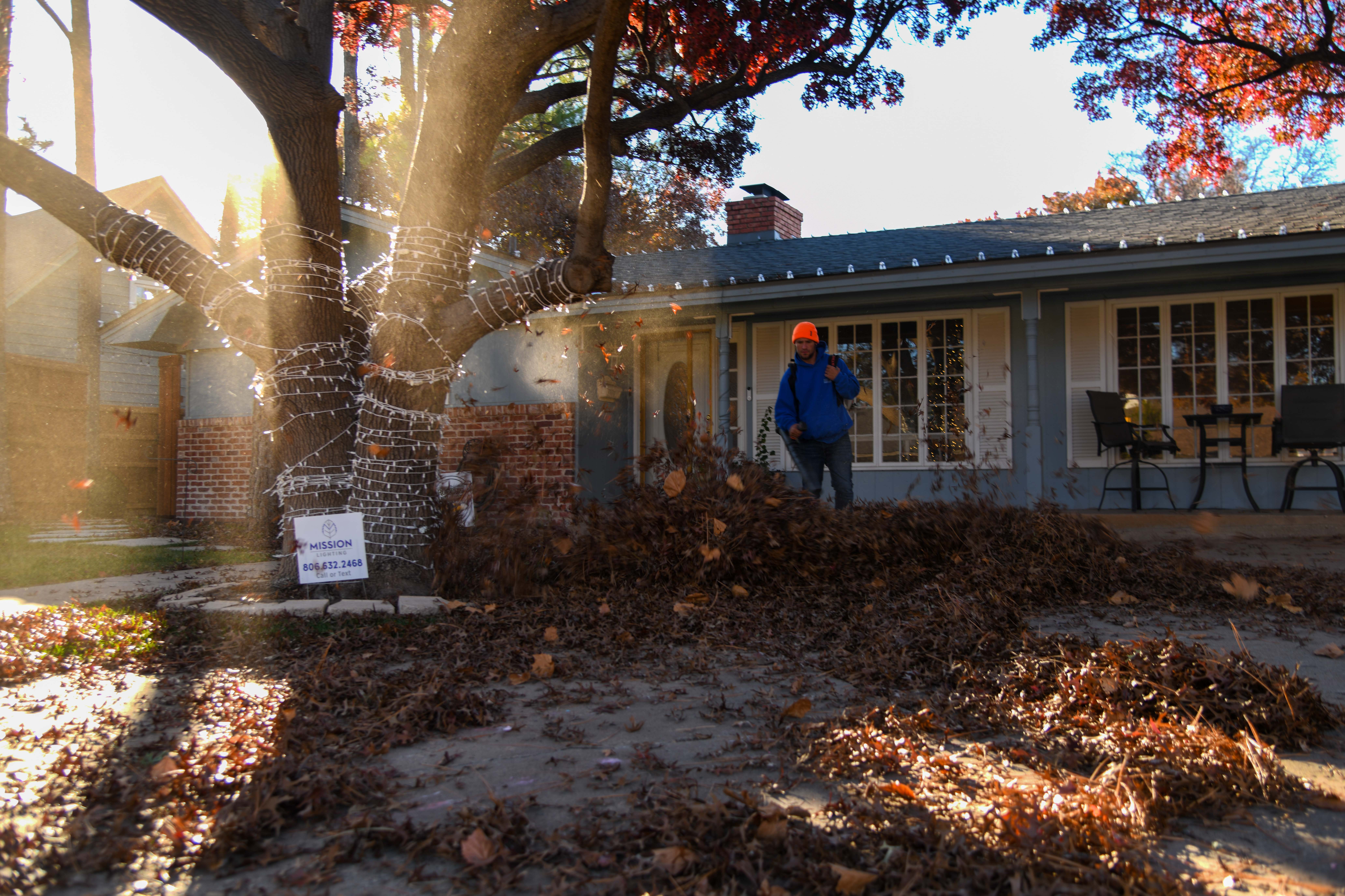 Landscape & Maintenance work