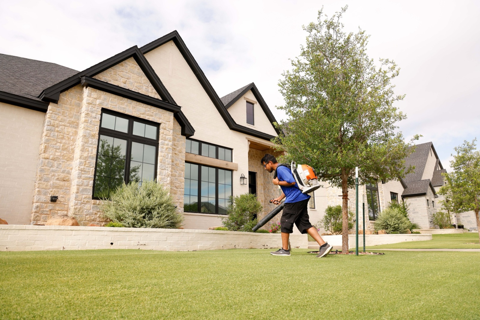 Landscape & Maintenance