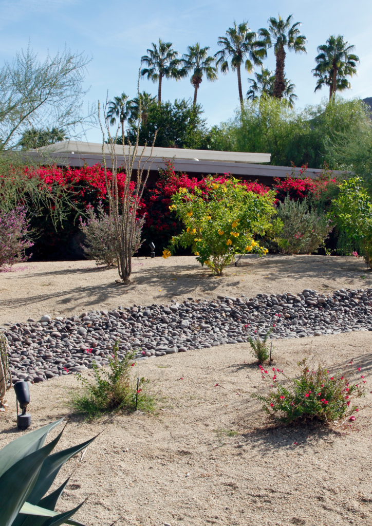 xeriscape