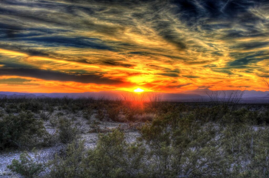 The Best Time to Start Landscaping in West Texas