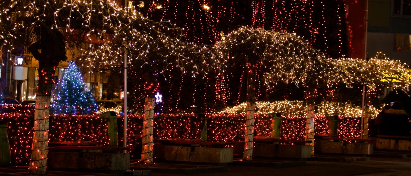 Trees in a plaza adorned with holiday lights