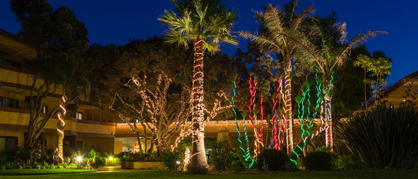 Palm trees in garden of hotel decorated with christmas lights in early evening