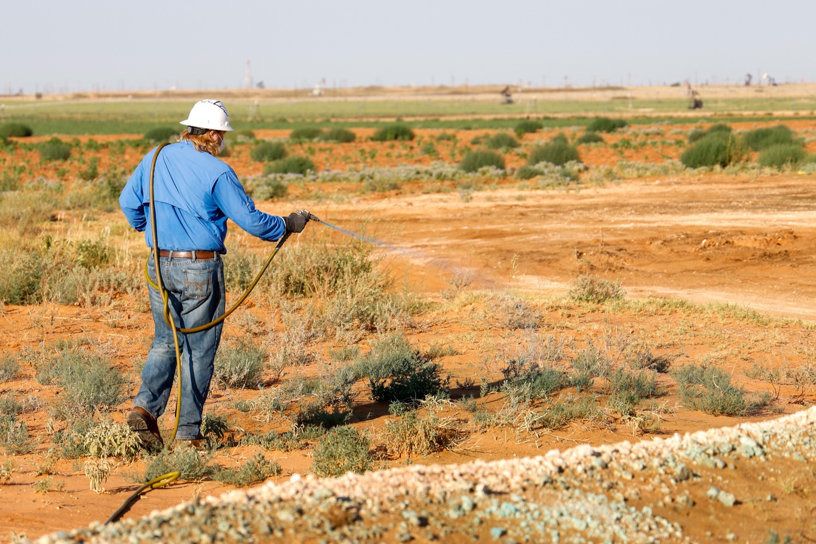 Energy vegetation management West Texas